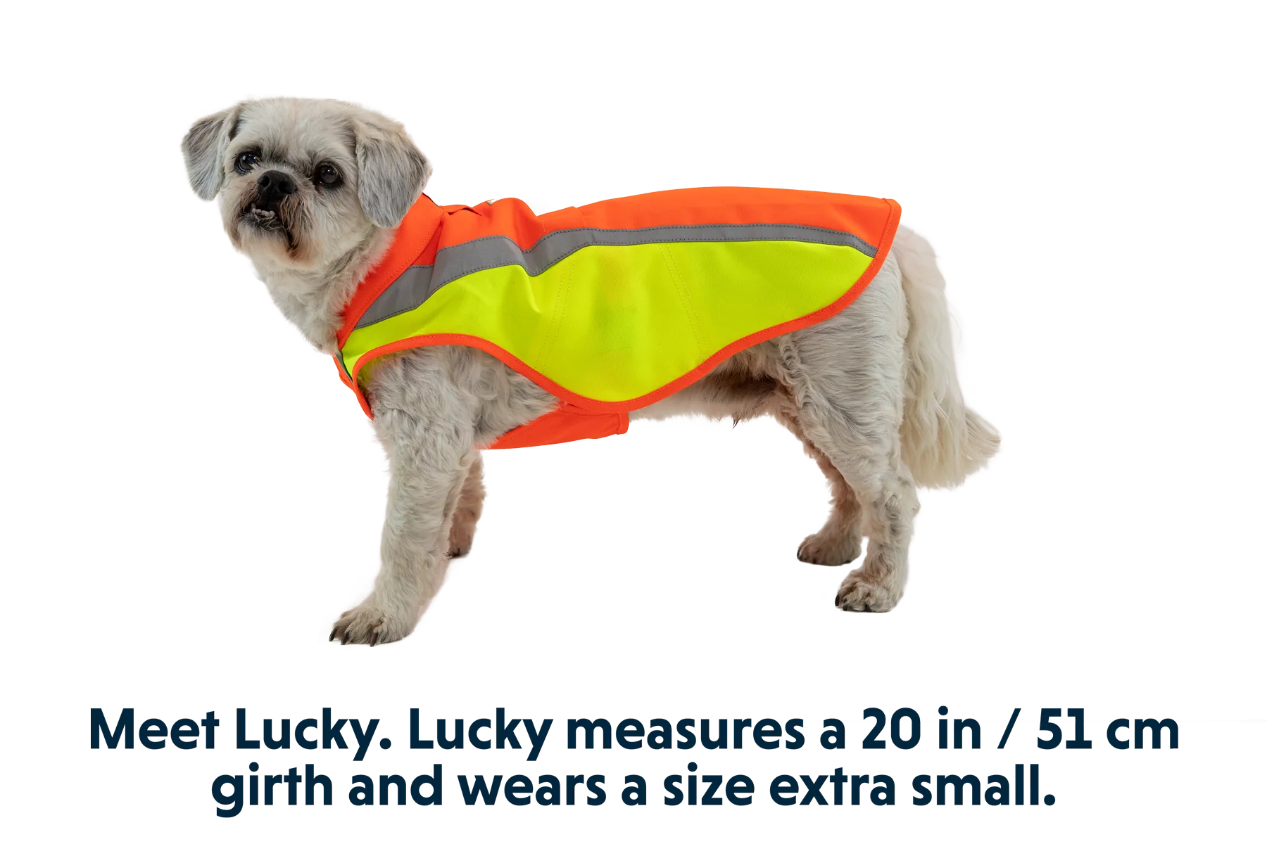 Lumenglow™ High-Vis Vest - Image 10