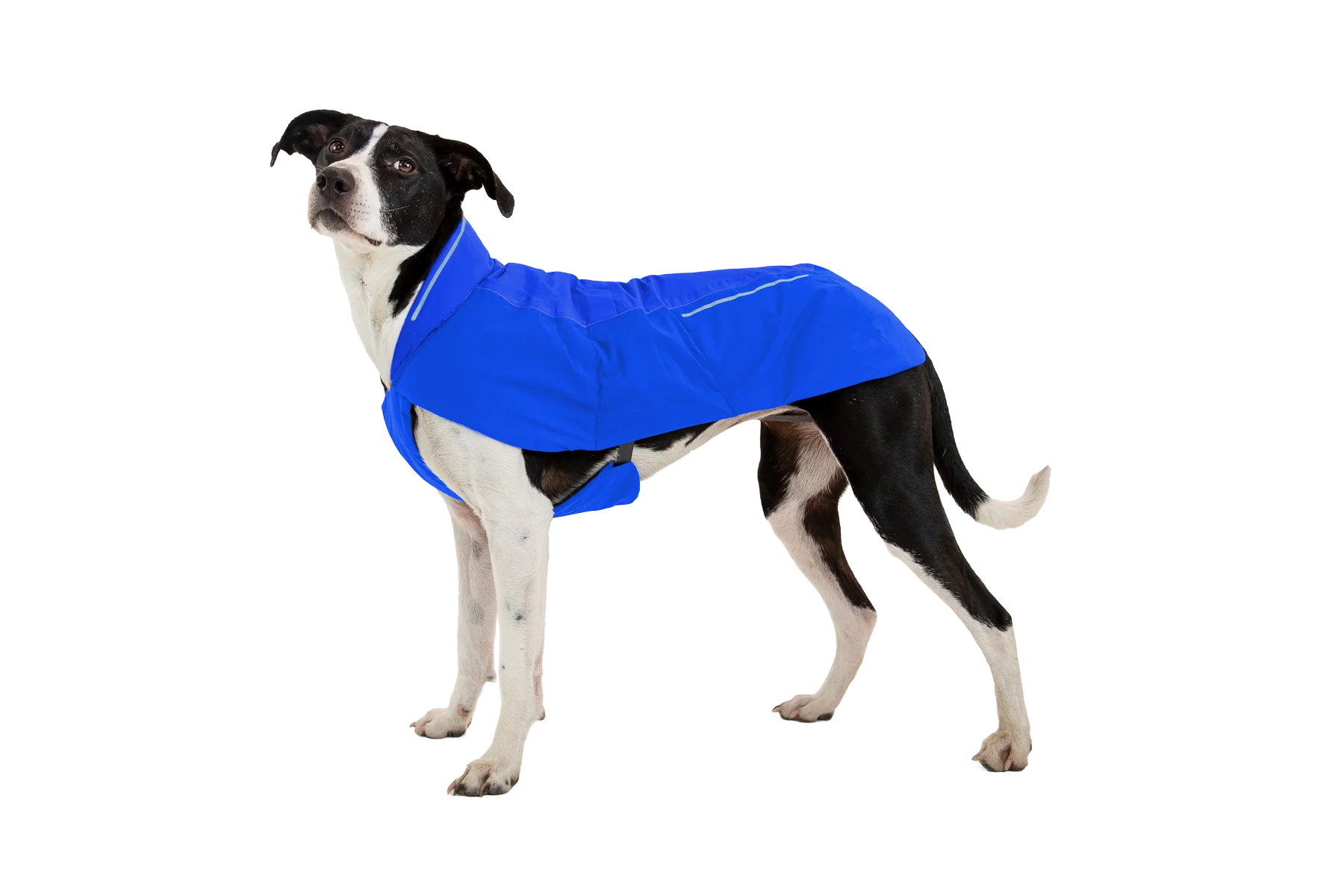 Vert™ Waterproof Insulated Vest - Image 24